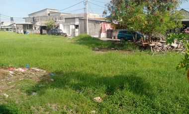 Plot Land for Sale in Pemogan Kepaon