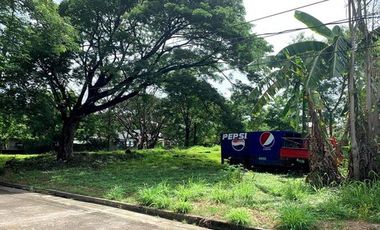 200sqm Lot for Sale at San Jose Village, Alabang, Muntinlupa City
