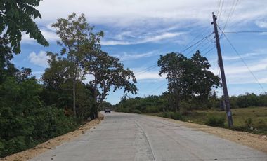 89,864 sq.m TITLED Lot For Sale located in Tangnan, Panglao Island, Bohol
