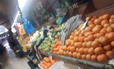 Renta minidepartamento Centro de Guadalajara