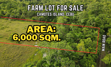 Farm Lot For Sale in Camotes Island, Cebu, Philippines