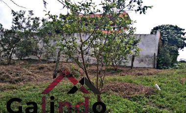 VENTA DE TERRENO EJIDO EN CIRCUITO DE GUADALUPE CERCA DEL GUAYABO