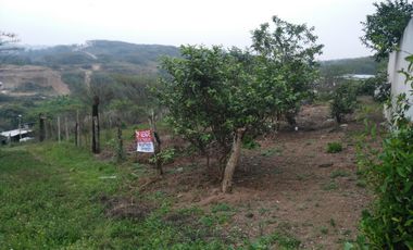 VENTA DE TERRENO EJIDO EN CIRCUITO DE GUADALUPE CERCA DEL GUAYABO