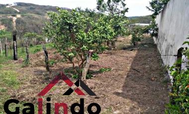 VENTA DE TERRENO EJIDO EN CIRCUITO DE GUADALUPE CERCA DEL GUAYABO