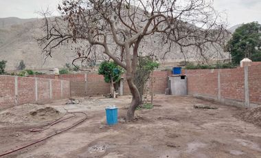 VENTA DE TERRENOS EN CHOSICA, ALTURA DEL PUENTE DE CHACLACAYO