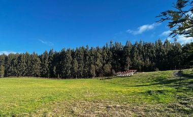 Vendemos hermosa parcela en Altos de Pumalal