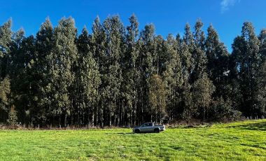 Vendemos hermosa parcela en Altos de Pumalal