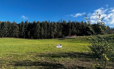 Vendemos hermosa parcela en Altos de Pumalal