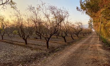 Campo en venta en Rengo de 9 Hectáreas sector Tipaume - Región de O' Higgins
