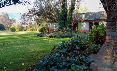 Campo en venta en Rengo de 9 Hectáreas sector Tipaume - Región de O' Higgins