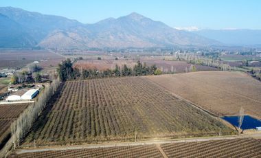 Campo en venta en Rengo de 9 Hectáreas sector Tipaume - Región de O' Higgins
