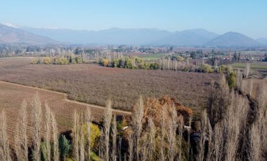 Campo en venta en Rengo de 9 Hectáreas sector Tipaume - Región de O' Higgins