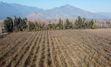 Campo en venta en Rengo de 9 Hectáreas sector Tipaume - Región de O' Higgins