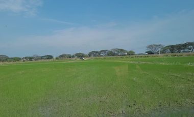Terreno de venta Vía Puntilla Samborondón