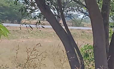 Terreno de venta Vía Puntilla Samborondón