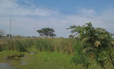 Terreno de venta Vía Puntilla Samborondón