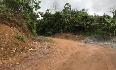 De venta   Finca  de 4 Hectáreas con cacao  en Puerto Quito.