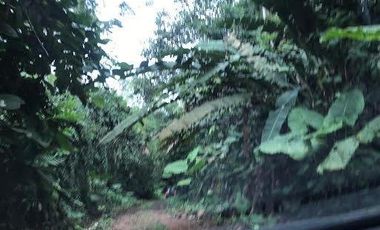 De venta   Finca  de 4 Hectáreas con cacao  en Puerto Quito.