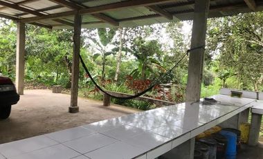 De venta   Finca  de 4 Hectáreas con cacao  en Puerto Quito.