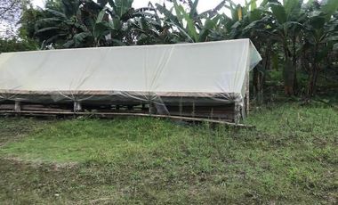 De venta   Finca  de 4 Hectáreas con cacao  en Puerto Quito.