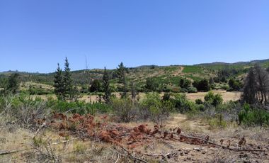 Hermosa parcela a minutos de playas de la sexta región!!!