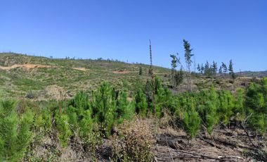Hermosa parcela a minutos de playas de la sexta región!!!