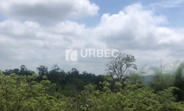 VENTA- Hacienda Productiva de venta en el Cantón Cumanda Provincia Chimborazo