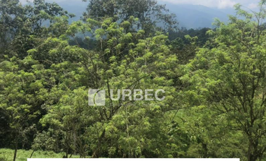 VENTA- Hacienda Productiva de venta en el Cantón Cumanda Provincia Chimborazo