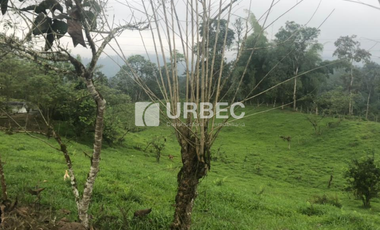 VENTA- Hacienda Productiva de venta en el Cantón Cumanda Provincia Chimborazo