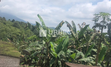 VENTA- Hacienda Productiva de venta en el Cantón Cumanda Provincia Chimborazo