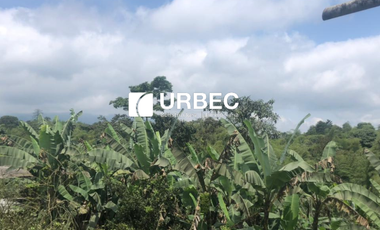 VENTA- Hacienda Productiva de venta en el Cantón Cumanda Provincia Chimborazo