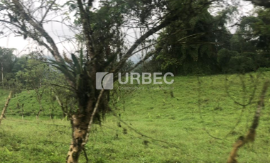 VENTA- Hacienda Productiva de venta en el Cantón Cumanda Provincia Chimborazo