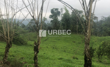 VENTA- Hacienda Productiva de venta en el Cantón Cumanda Provincia Chimborazo
