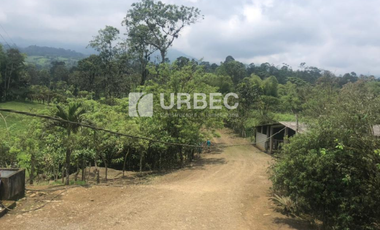 VENTA- Hacienda Productiva de venta en el Cantón Cumanda Provincia Chimborazo