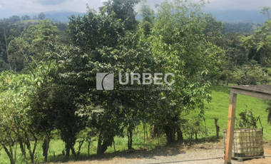 VENTA- Hacienda Productiva de venta en el Cantón Cumanda Provincia Chimborazo
