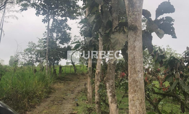 VENTA- Hacienda Productiva de venta en el Cantón Cumanda Provincia Chimborazo