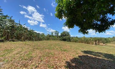 Very Affordable 500 sqm Farm Lot For Sale in Magallanes Cavite