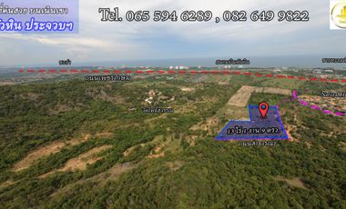 Land for sale on the hill, Hua Hin, Hua Hin District, Prachuap Khiri Khan Province area, 13-01-09 rai, near Natural Hill Village.