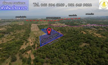 Land for sale on the hill, Hua Hin, Hua Hin District, Prachuap Khiri Khan Province area, 13-01-09 rai, near Natural Hill Village.