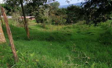 FINCA ARBELAEZ-CRIADERO OVINO