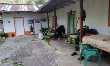 FINCA ARBELAEZ-CRIADERO OVINO