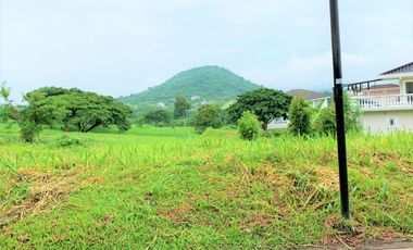 For Sale: Ayala Greenfield Estates Residential Lot For Sale In Calamba Laguna