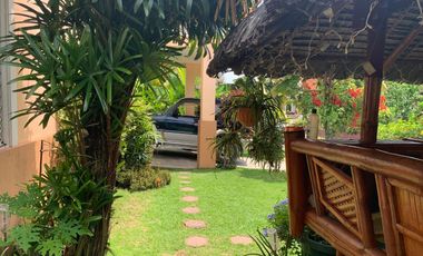 HOUSE AND LOT FOR SALE IN A SUBDIVISION ID 14809