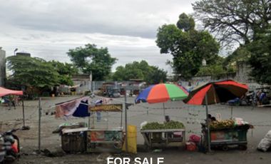 For Sale: Prime Commercial Property in East Service Road, Muntinlupa City, P130.23M