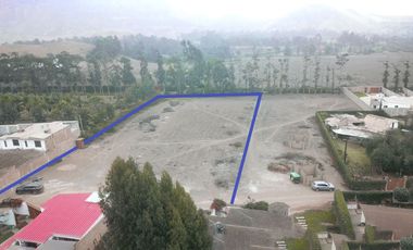 Terreno de 5000 m² en Pachacamac en Venta con El Mejor Precio de La Zona!