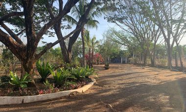 OCEAN VIEW HOUSE AND LOT WITH POOL ID 14894