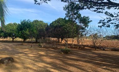 OCEAN VIEW HOUSE AND LOT WITH POOL ID 14894