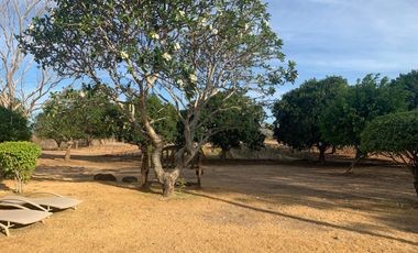 OCEAN VIEW HOUSE AND LOT WITH POOL ID 14894