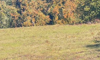 oportunidad únicas Parcelas a paso del lago Camino Villarrica Pucón
