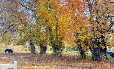 oportunidad únicas Parcelas a paso del lago Camino Villarrica Pucón